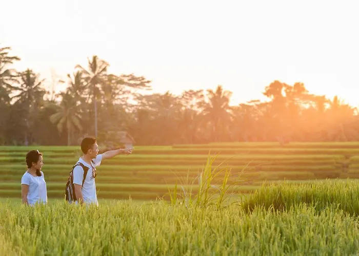 Cenik Ubud