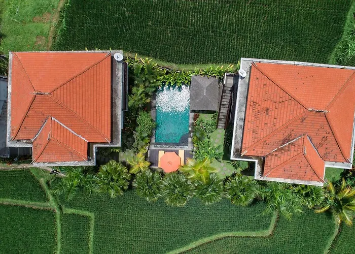 Lodge Cenik